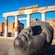 Big head of statue laying on the floor in front of historic structures in Pompeii